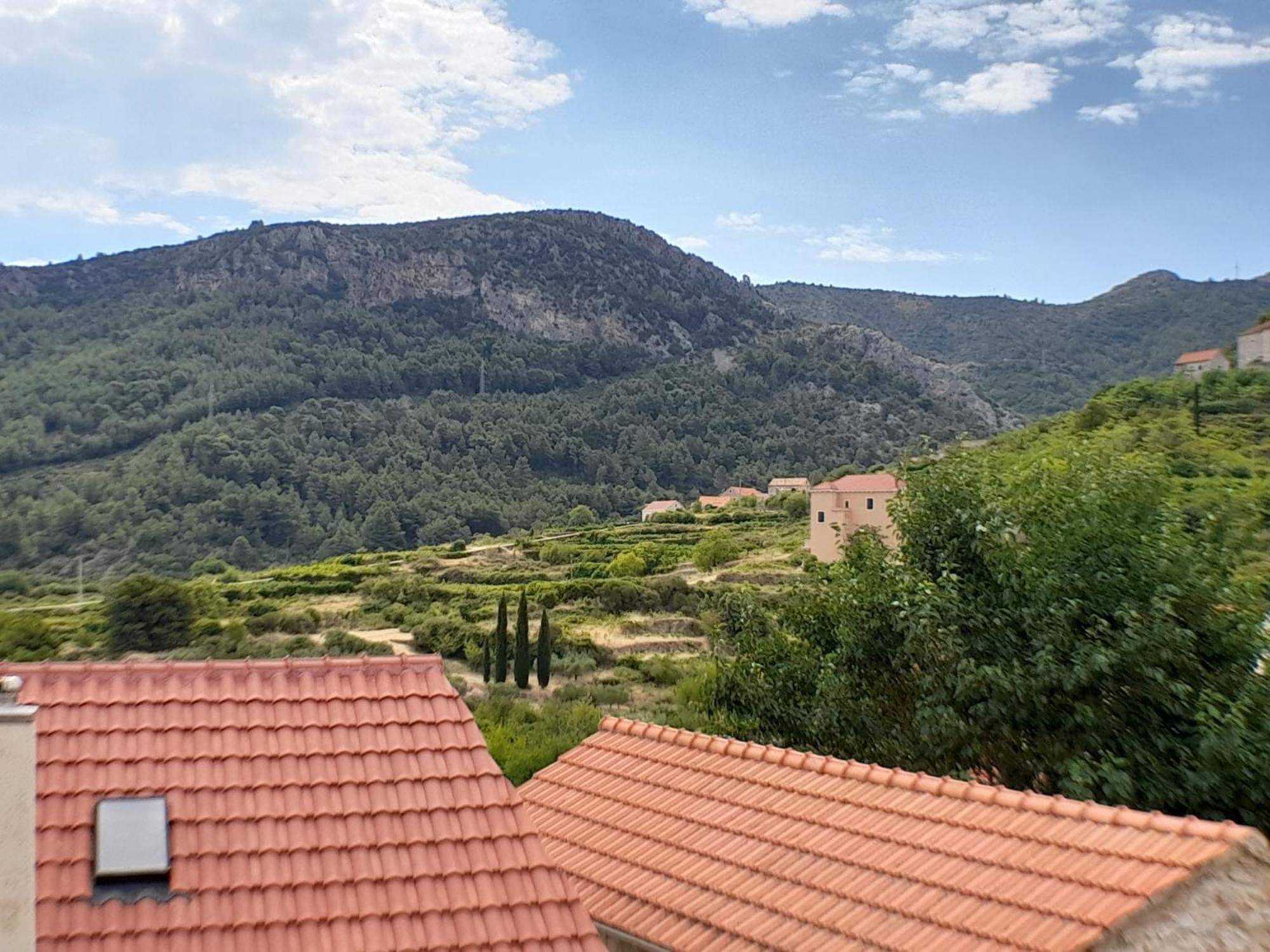 Hvar Architect'S House Pitve エクステリア 写真